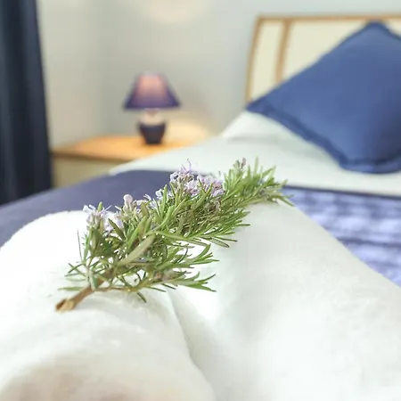 Apartmán Dragica *