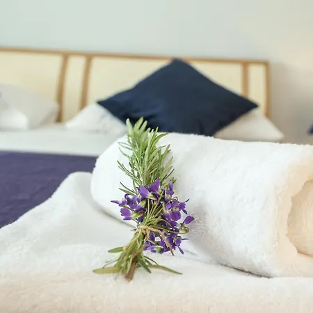 Dragica Apartman *