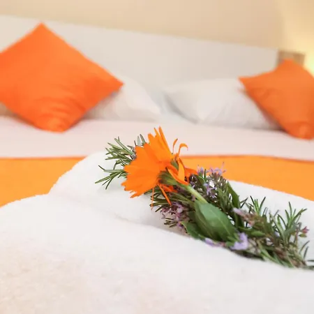 Dragica Apartmán Pridraga