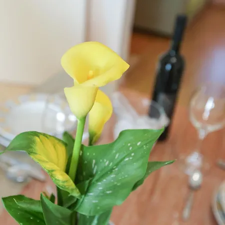 Dragica Apartman
