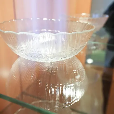 Apartman Dragica *