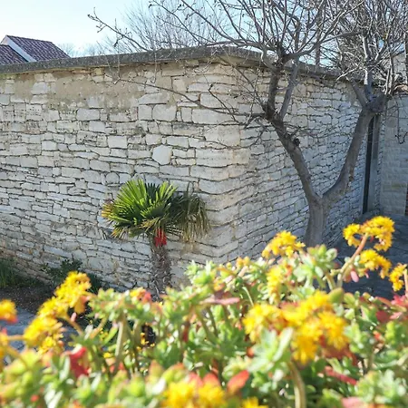 Apartman Dragica
